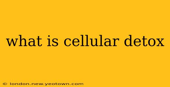 what is cellular detox