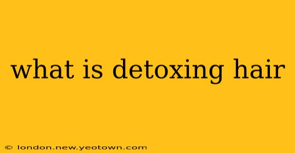 what is detoxing hair
