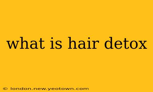 what is hair detox