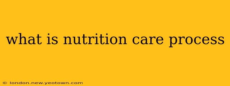 what is nutrition care process