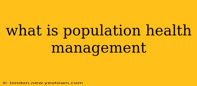 what is population health management
