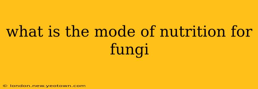 what is the mode of nutrition for fungi