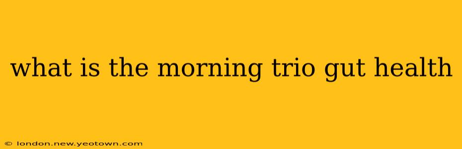 what is the morning trio gut health