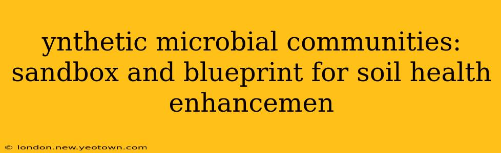 ynthetic microbial communities: sandbox and blueprint for soil health enhancemen