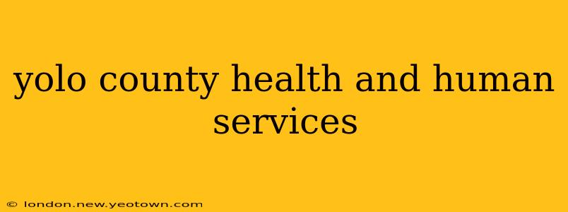 yolo county health and human services