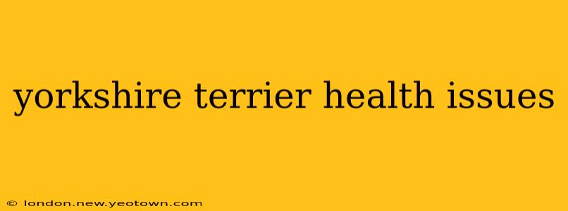 yorkshire terrier health issues